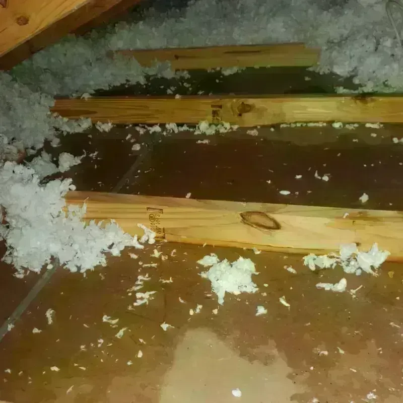 Attic Water Damage in Shamokin, PA