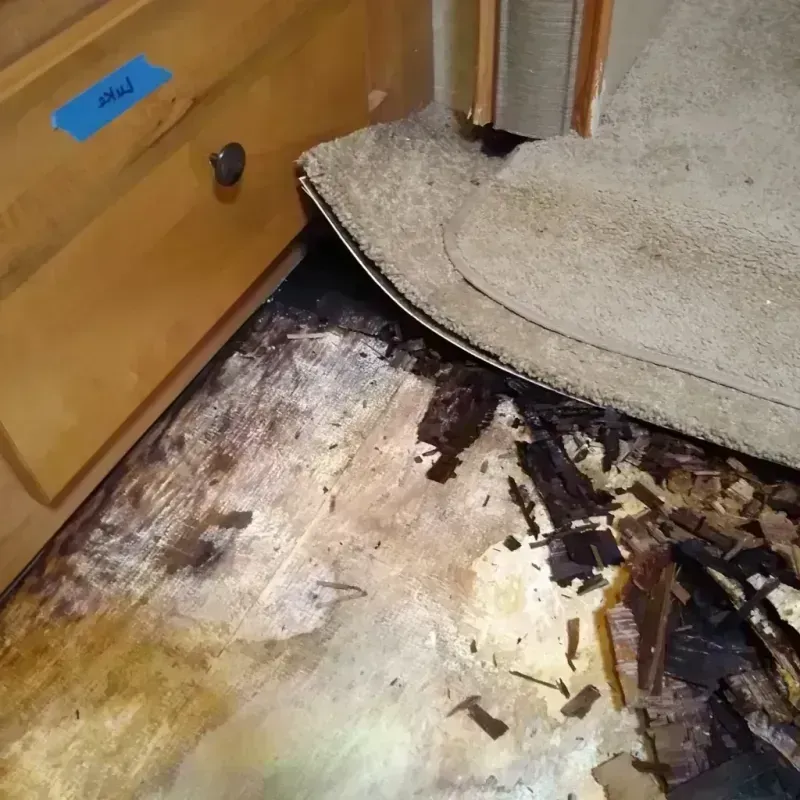 Best Wood Floor Water Damage Service in Shamokin, PA